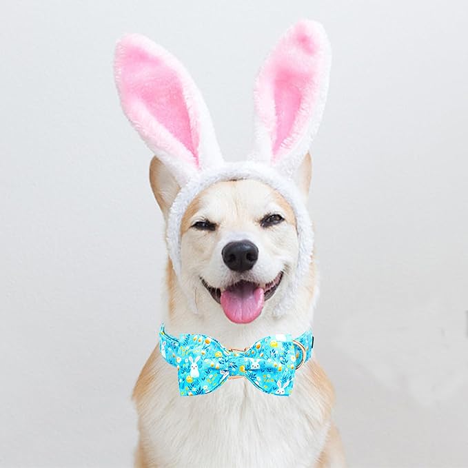 Lionheart glory Dog Bow Collar Easter Day Dog Collar for X-Small Dogs,Easter Rabbits Colorful Dog Collars with Bowtie Spring Bunnies Blue Collars Puppy Collar Bows