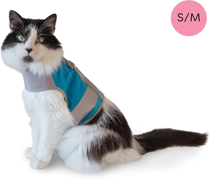 CAT SCHOOL Cat Harness and Leash Set for Outdoor Walks, Training, and Travel - Secure, Soft, Comfortable Cat Vest Harness with 10' Long Cat Leash - Easy to Use with Step-by-Step Instructions M/L