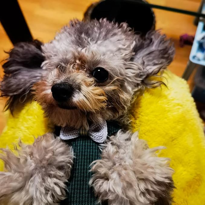 Puppytie No Pull xs Dog Harness with Multifunction Dog Leash,Soft Adjustable No Choke Escape Proof Pet Harness Vest,Knitted Green,XXS