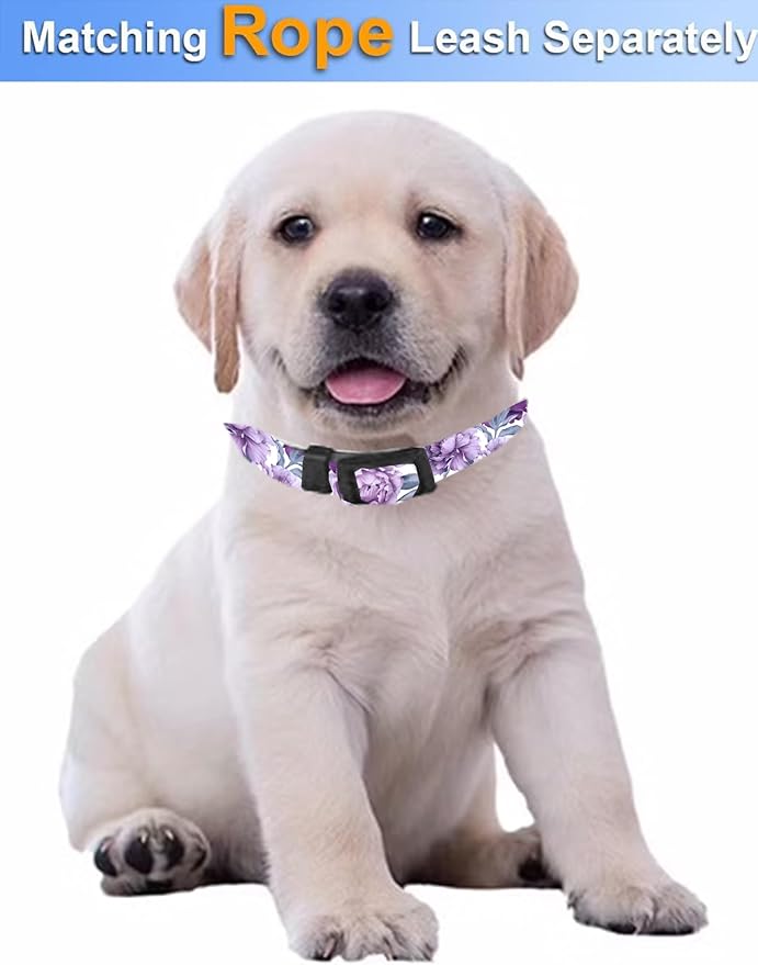 Dog Collar, Cute Dog Collar for Small Medium Large Dogs, Personalized Adjustable Soft Pet Collars with Quick Release Buckle for Walking Running, Cute Purple Floral