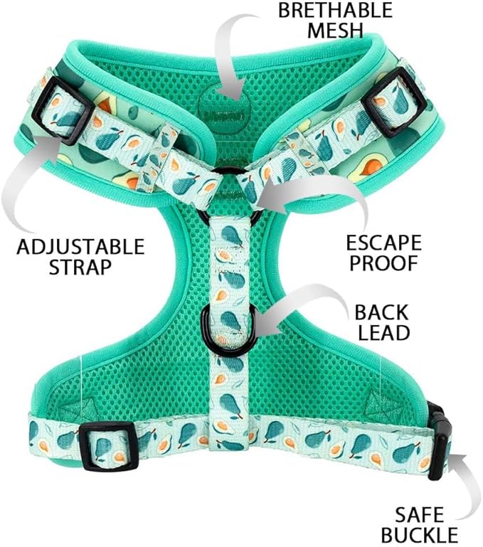 Dog Cat Harness and Leash Set, Puppia Soft Mesh Padded and Adjustable Puppy Vest Cute Dog Clothes Escape Proof Easy Walk Pet Accessories