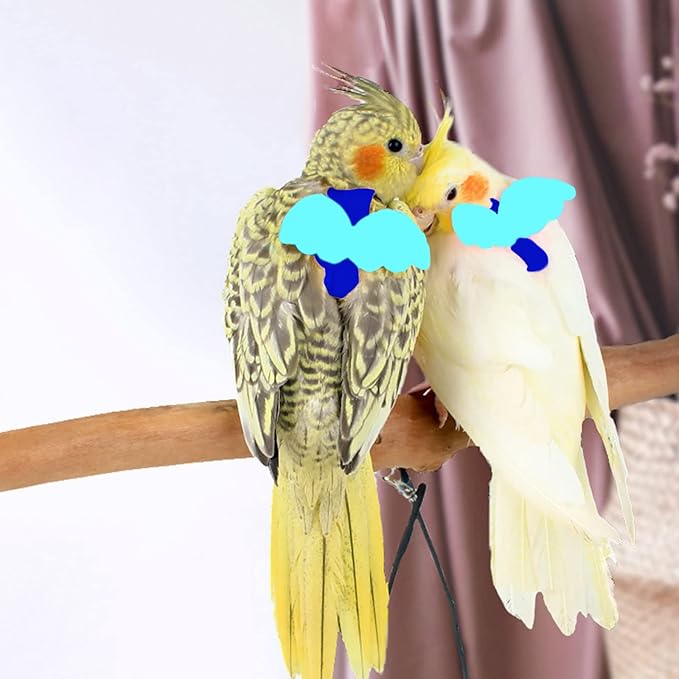 Cockatiel Harness and Leash, Adjustable Parrot Bird Training Design Anti-Bite, Bird Nylon Rope with Cute Wing for Cockatiel and Same Size Birds (L, Blue)