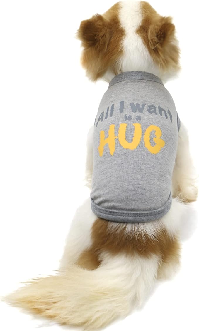 LOPHIPETS Dog All I Want is A Hug Letter Print Shirts for Small Dog Bichon Clothes Tee-Grey/XL
