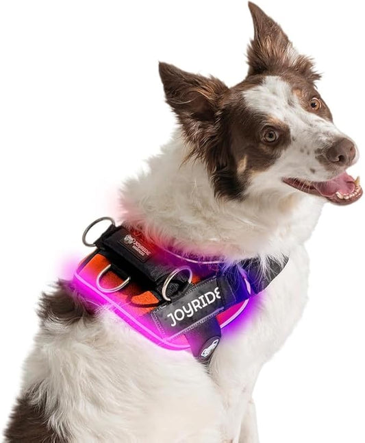 Joyride Harness LED Light Up Dog Harness 2.0 - Patent Pending Design, 3 LED Modes, Vibrant Rechargeable Lighting, Customizable Name Tag Area, and Convenient On/Off Button for Enhanced Pet Safety