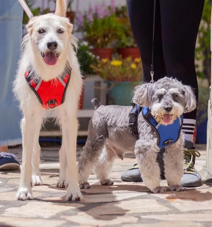 No Pull Dog Harness, Reflective Walking Dog Harness with Easy Control Handle and Front & Back Clips,Adjustable Breathable Soft Padded Dog Vest Harness for Large Medium Small Dogs,Orange,L