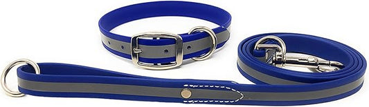 Regal Dog Products Small Blue Green Reflective Dog Collar and Leash Set - Waterproof Biothane Dog Collar with Heavy Duty Double Buckle, D Ring & 5ft Leash - Other Size for Medium & Large Dogs