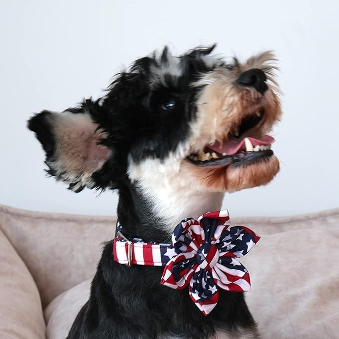 Lionet Paws Patriotic Female Dog Collar with Flower, 4th of July, Soft and Comfortable Adjustable American Flag Collar for Large Dogs, Neck 16-24 inches