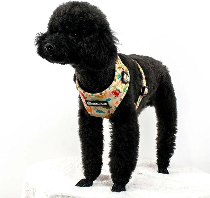 Dog Harness and Leash Set, Adjustable Dog Harness, Dog Leash, No Pull No Choke Puppy Harnesses for Walking Training for Small, Medium, Large Pet