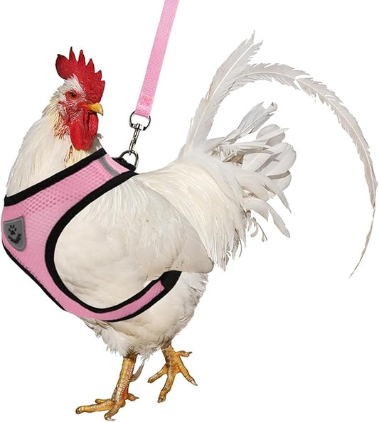 Adjustable Chicken Harness with Leash Small Pet Harness and Leash for Duck Hen Goose Walking, Pink (M)