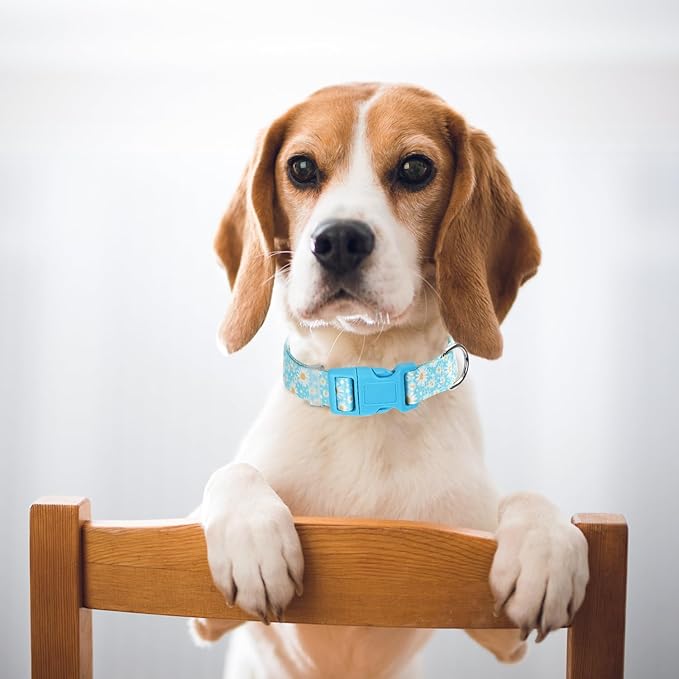 Dog Collars for Medium Dogs with Blue Daisy Flowers Floral Design for Boy Girl Dogs, Adjustable Comfy Soft Pet Collar with Safety Buckle for XS Small Medium Large Dogs(M)