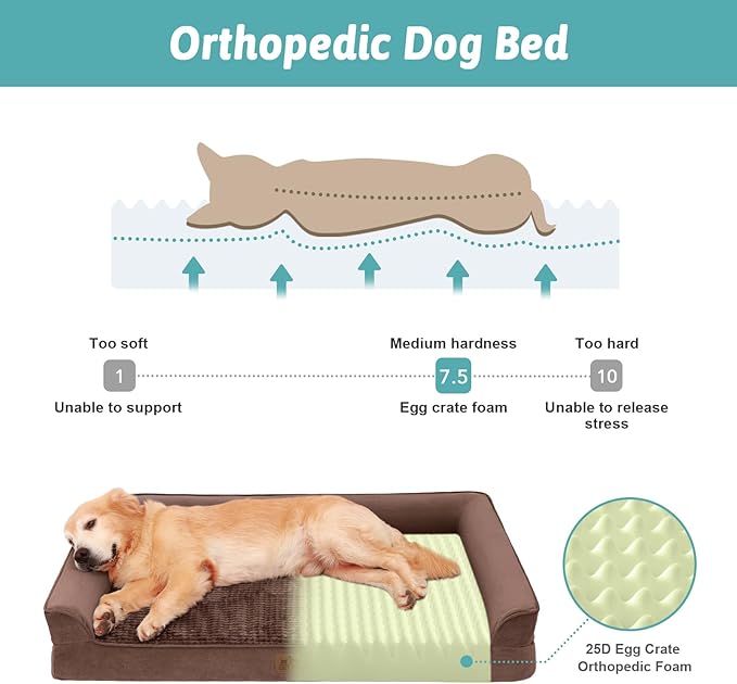 Orthopedic Dog Bed for Extra Large Dog, XL Pet Couch for XLarge Dog, Big Supportive Foam Bolster Sofa with Waterproof Lining Cover, Comfort, Washable, 48x32x7.5 in, U Shape, Brown