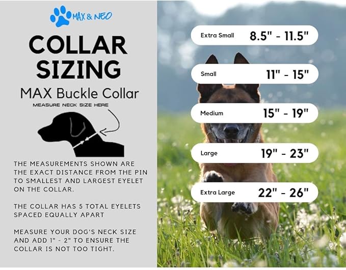 Max and Neo MAX Reflective Metal Buckle Dog Collar - We Donate a Collar to a Dog Rescue for Every Collar Sold (Large, Orange)