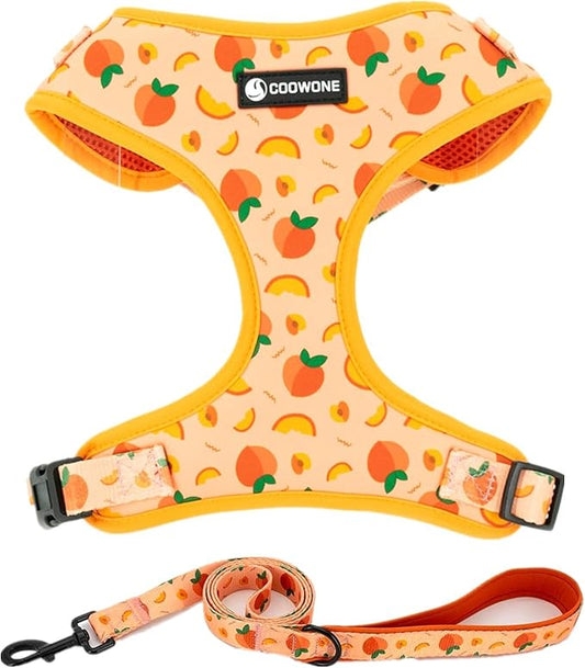 Dog Harness and Leash Set, Adjustable Dog Harness, Dog Leash, No Pull No Choke Puppy Harnesses for Walking Training for Small, Medium, Large Pet