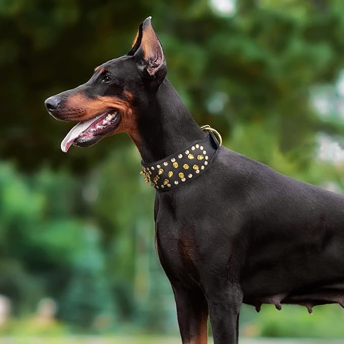 Wide Gold Spiked Dog Collar, Epesiri Dog Chain Collars, Mushroom Rivet PU Leather Dog Collars, Adjustable Durable Spike Studded Pet Collar for Pitbull Mastiff Bulldog Pugs Husky Rottweiler