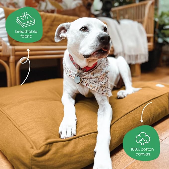 Molly Mutt Fast Car Dog Bed Duvet Cover, GOTS-Certified 100% Cotton Canvas Cover for Dog, Puppy, or Cat Bed, Durable, Washable, and Free of Harmful Chemicals, Small, 22"x27"x5", Mustard Yellow