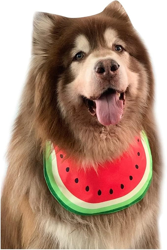 Pet Dog Bandana Watermelon Neckerchief Costume Accessory Summer Waterproof Bib for Medium & Large Dogs