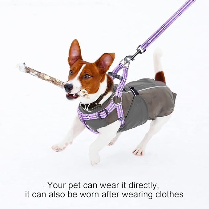 BEAUTYZOO No Pull Dog Harness and Leash Set - Adjustable Step-in Puppy Harness for Small Medium Large Dogs, Escape Proof Soft Nylon Vest with Double D Ring for Walking Running Training, Purple XS