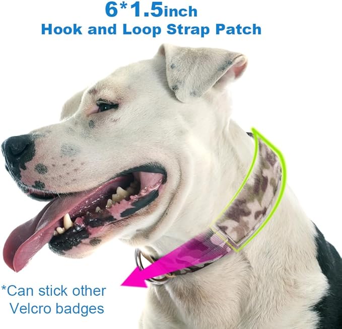 TSPRO Tactical Dog Collar with Metal Buckle & Patch, 1.5 Inch Wide, Adjustable, Durable Thick Collar for Medium to Large Dogs (Camo Khaki)