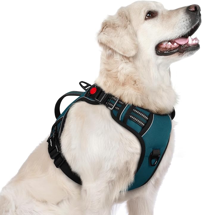 rabbitgoo Dog Harness for Large Dogs, No Pull Pet Harness with Soft Padded Handle, Adjustable Reflective Vest with 3 Buckles, Easy Walking Harness with 2 Leash Clips, Green, L