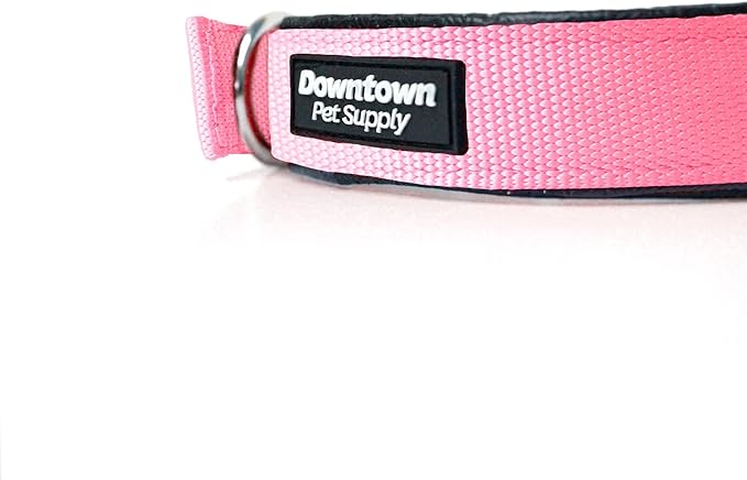 Downtown Pet Supply Deluxe Padded Adjustable Dog Collar - Metal Buckle & D-Ring - Machine Washable & Water Resistant - Pink - M