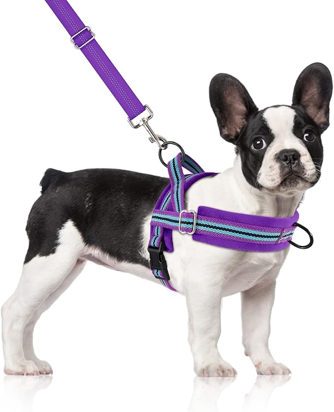 SlowTon No Pull Small Dog Harness and Leash Set, Puppy Soft Vest Harness Neck & Chest Adjustable, Reflective Lightweight & Anti-Twist Pet Lead Combo for Small Medium Dogs (PU-Front Clip, M)
