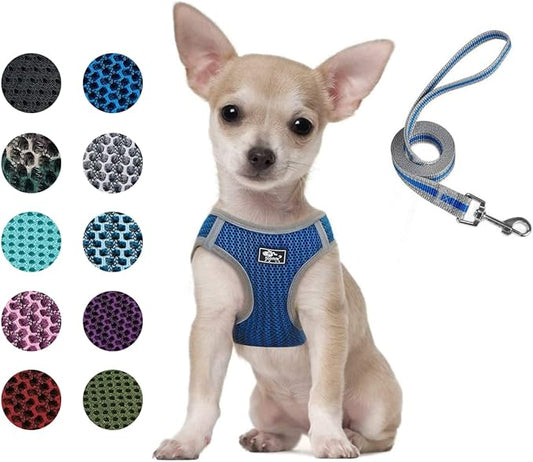 Cat Universal Harness with Leash - Escape Proof - Adjustable Reflective Step in Dog Harness for Small / Medium Dogs - Soft Mesh Comfort Fit No Pull No Choke (X-Small, Blue)