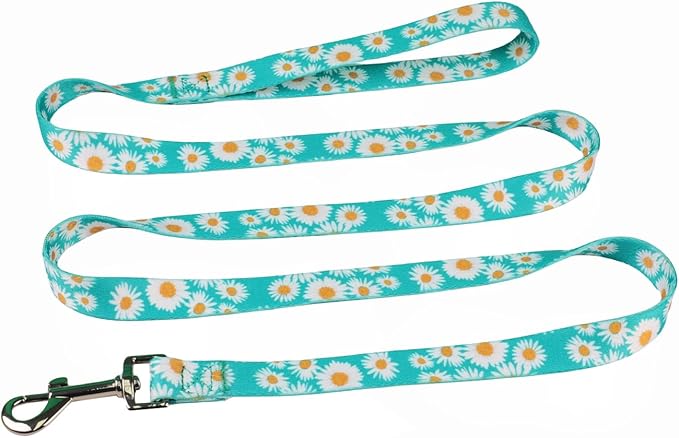 Green Daisy Pattern Basic Dog Halter Harness Leash Set, No Pull, Easy Wear for Small Dogs.(XS, Green Daisy)