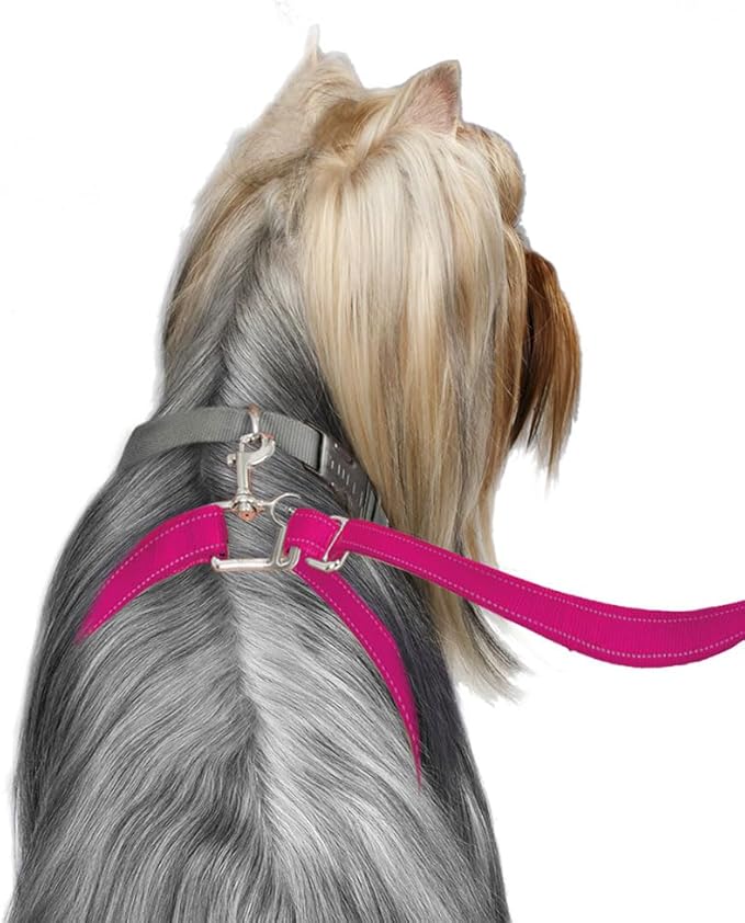 No-Pull Dog Leash (Small (12 to 25 lbs), Pink)