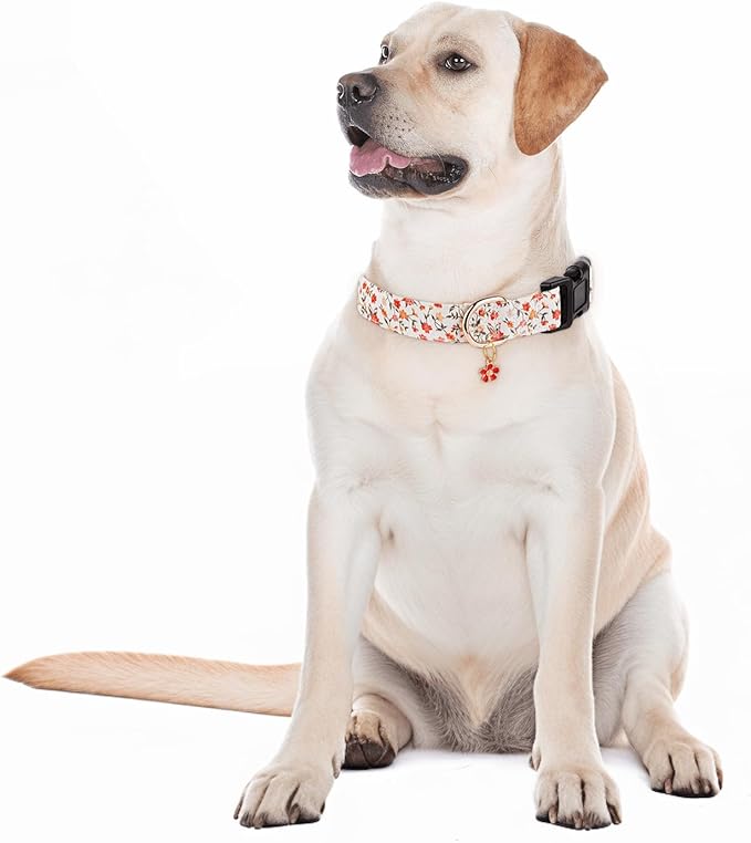 Dog Collars with Buckle Adjustable for Cute Girl Female Boy Dogs,Special Soft and Fancy Dog Pet Collar with Flower Design for Small Medium Large Dogs (Red Flower, L)
