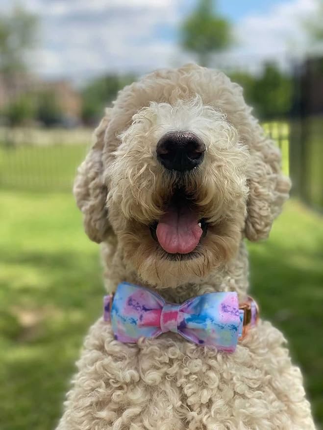 Elegant little tail Dog Collar with Bow, Soft&Comfy Bowtie Dog Collar, Adjustable Pet Gift Collars for Small Medium Large Dogs