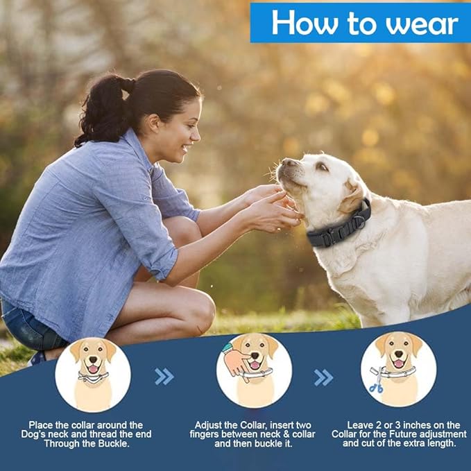 Adjustable Dog Collar - Easy Click Buckle for Small to Medium Dogs - Comfortable Neoprene Padding for Male & Female Dogs, Pet Collar for Puppies & Adult Dogs - Black