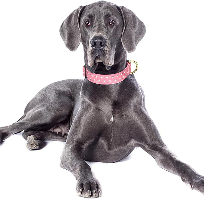 Reflective Dog Collar for Large Dogs, Cute Adjustable Heavy-Duty Nylon Puppy Collars for Boy and Girl Female, Soft Pet Accessories with Quick Release Buckle, Neck 16-24", Pink Hearts