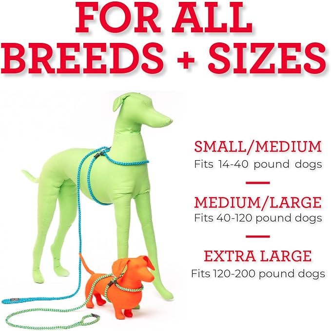 Harness Lead No Pull Dog Harness and Leash Set, Anti Pull Dog Harness, One-Piece Cushioned Rope Safely Prevents Escaping and Pulling *New Insert is Removable (Medium/Large, Purple/Turquoise)