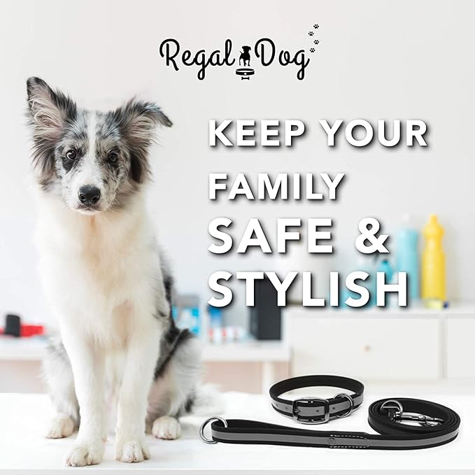Regal Dog Products Small Black Reflective Dog Collar and Leash Set - Waterproof Biothane Dog Collar with Heavy Duty Double Buckle, D Ring & 5ft Leash - Other Size for Medium & Large Dogs