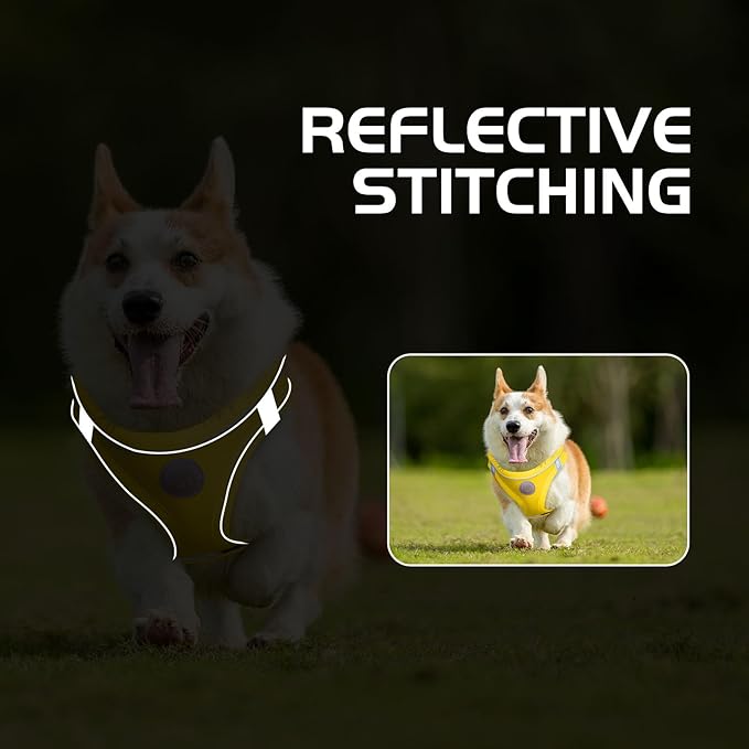 Soft Mesh Dog Harness and Leash Set, No Pull Puppy Harness and Leash Set, Reflective Step in Harness for Small Medium Dogs, Easy Walk Escape Proof Vest Harnesses (Yellow, S)