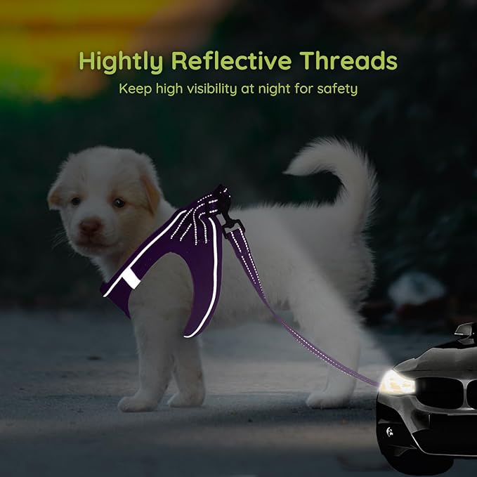 BELLA & PAL Puppy Harness With Leash Set, No Pull for Small Dogs, Step in Harness for Extra Small Dogs, Deep Purple, XXS