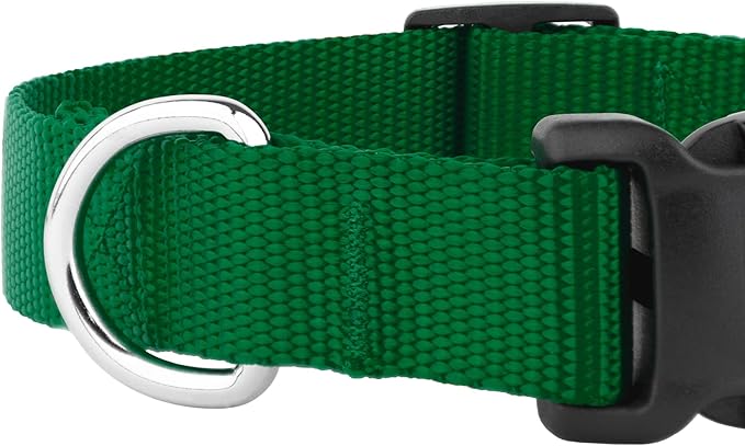 Country Brook Petz - American-Made Dog Collar for Large, Medium, and Small Dogs and Puppies - Deluxe Heavy Duty Nylon in 33 Dazzling Colors (Medium, 3/4 Inch Wide, Christmas Green)