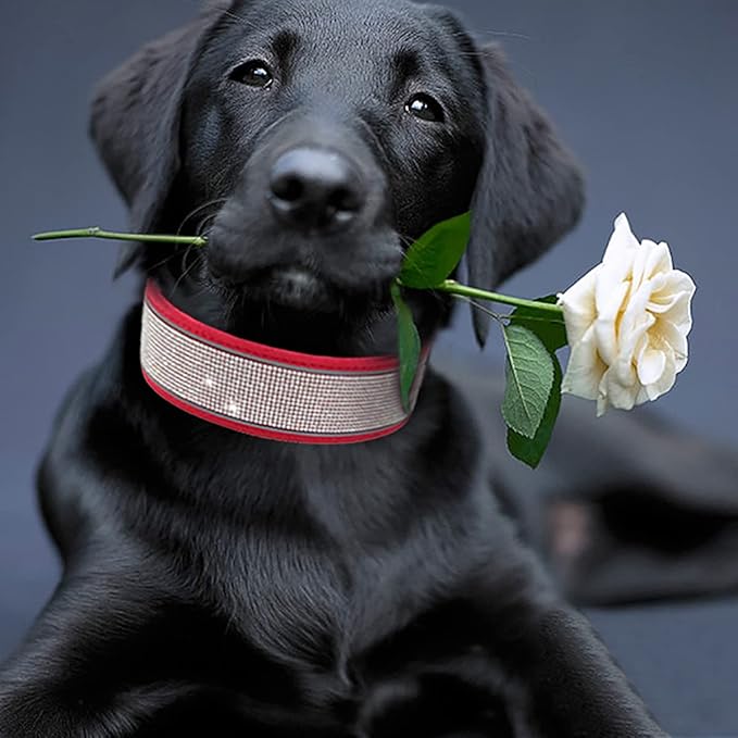 Bling Rhinestone Dog Collar Soft Comfortable Stylish Dog Collar with Bright Reflective Stripe Premium Adjustable Diamond Crystal Pet Collar for Small Medium and Large Dogs (M, Red)