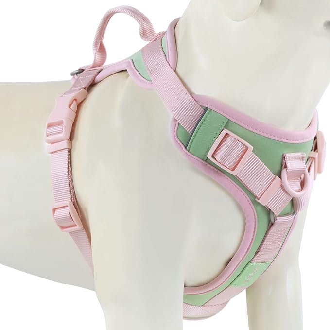 No Pull Dog Harness Adjustable Soft Padded Pet Vest with Control Handle Adorable Daily Harness for Dogs（Mint Green L）