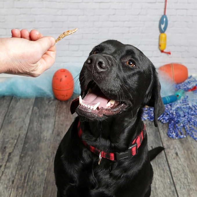 Smelt Pet Treats for Dogs & Cats – Single Ingredient Dehydrated Whole Smelt, Sustainably Sourced, Grain-Free, High Protein, No Additives, Natural Omega-3, Supports Healthy Skin & Coat, 4oz Bag
