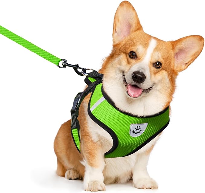 shudyear Dog Walking Chest Harness and Leash, Anti-Escape Adjustable Soft Mesh Dog Leash and Harness Set for Small Dog and Puppies, Vest for Medium Sized Dogs (Green, M)