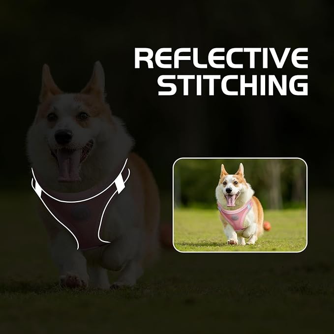 Soft Mesh Dog Harness and Leash Set, No Pull Puppy Harness and Leash Set, Reflective Step in Harness for Small Medium Dogs, Easy Walk Escape Proof Vest Harnesses (Pink, S)