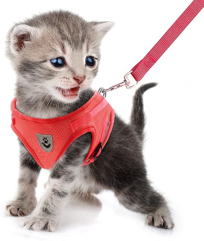FEimaX Dog Harness and Leash Set for Walking, Soft Mesh Adjustable Easy Control Lightweight Cat Vest Harnesses with Reflective Strips, Escape Proof Small Dogs Cats Vests (Red, X-Small)