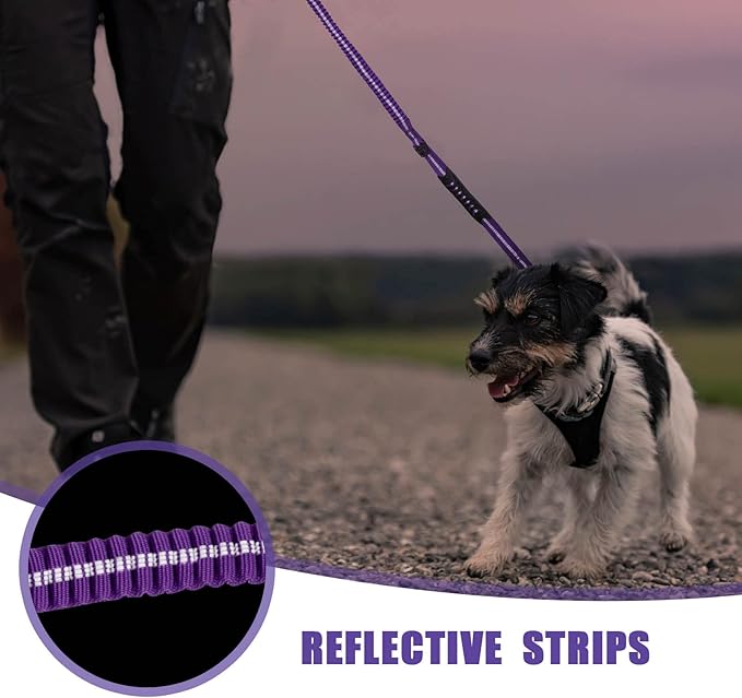 Raipult Shock Absorbing Tactical Dog Leash, 4-6FT Heavy Duty Bungee Leash, Anti-Pull Elastic Training Lead with Car Seatbelt & 2 Handles for Medium Large Dogs,Purple