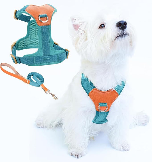 No-Pull No-Choke Dog Harness and Leash Set - Adjustable Soft Padded Vest, Lightweight Retro Design for Small Medium Dogs and Puppies, Easy Control and Comfortable Walk (Blue, L)