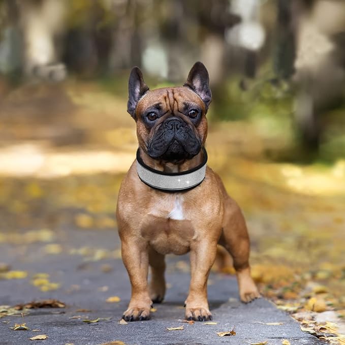 Bling Rhinestone Dog Collar Soft Comfortable Stylish Dog Collar with Bright Reflective Stripe Premium Adjustable Diamond Crystal Pet Collar for Small Medium and Large Dogs (M, Black)