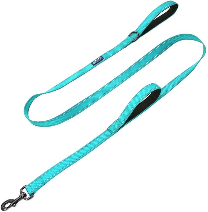 Max and Neo Double Handle Traffic Dog Leash - Reflective, Donates to Dog Rescue (Teal, 6 FT)