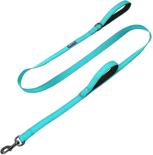 Max and Neo Double Handle Traffic Dog Leash - Reflective, Donates to Dog Rescue (Teal, 6 FT)
