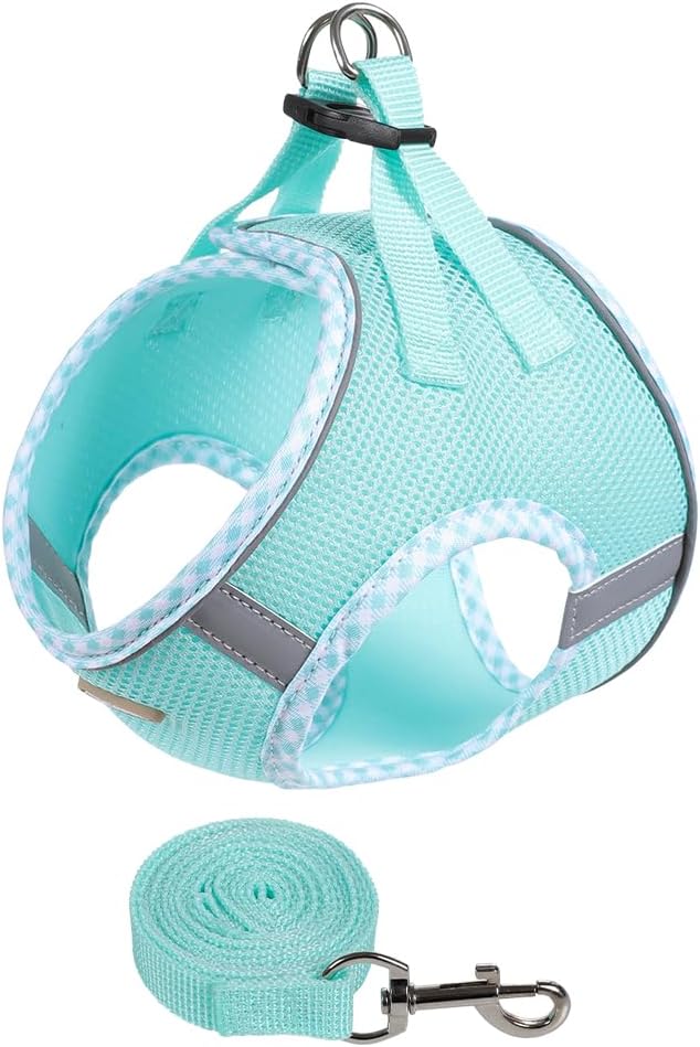 Dog Harness and Leash Set, Mesh Male and Female Extra Small Dogs Vest Collars, Adjustable No-Pull Pet Cat Chest Harnesses with Leashes, Medium Running Gear for Large Puppies, S Size Green
