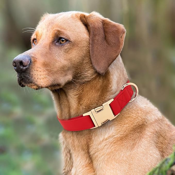 PET ARTIST Bright & Classic Leather Dog Collar, Durable & Heavy Duty Dog Collars with Quick Release Metal Buckle, Adjustable Nylon Padded Pet Collar for Large Dogs Girl, Neck Fit 16-27"
